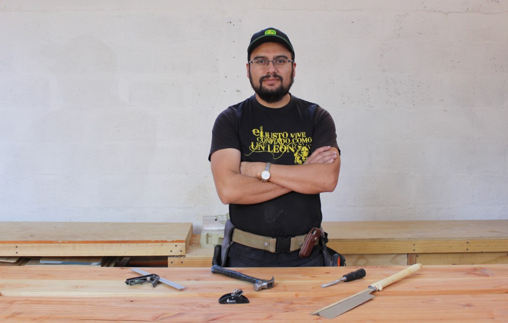 Carpintero-del-desierto-1